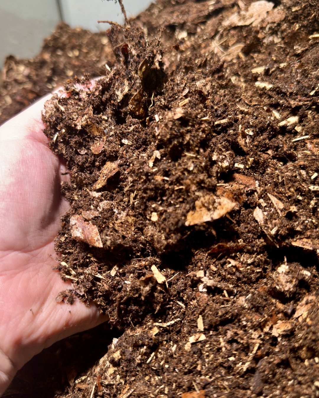 Eine Hand hält eine Portion Substrat mit Holzstückchen, Laubresten und Torf