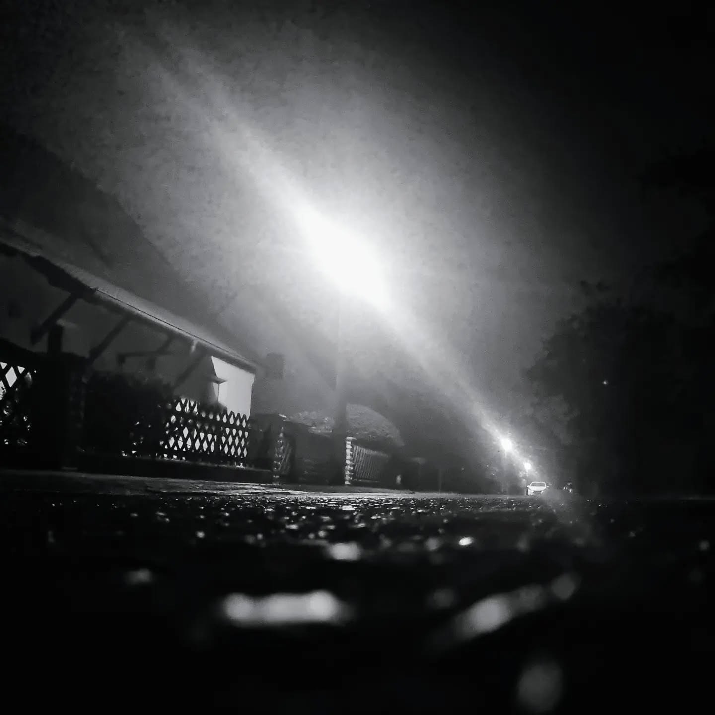 Nächtliche Straße im Gegenlicht einer Laterne, Schwarz-Weiß