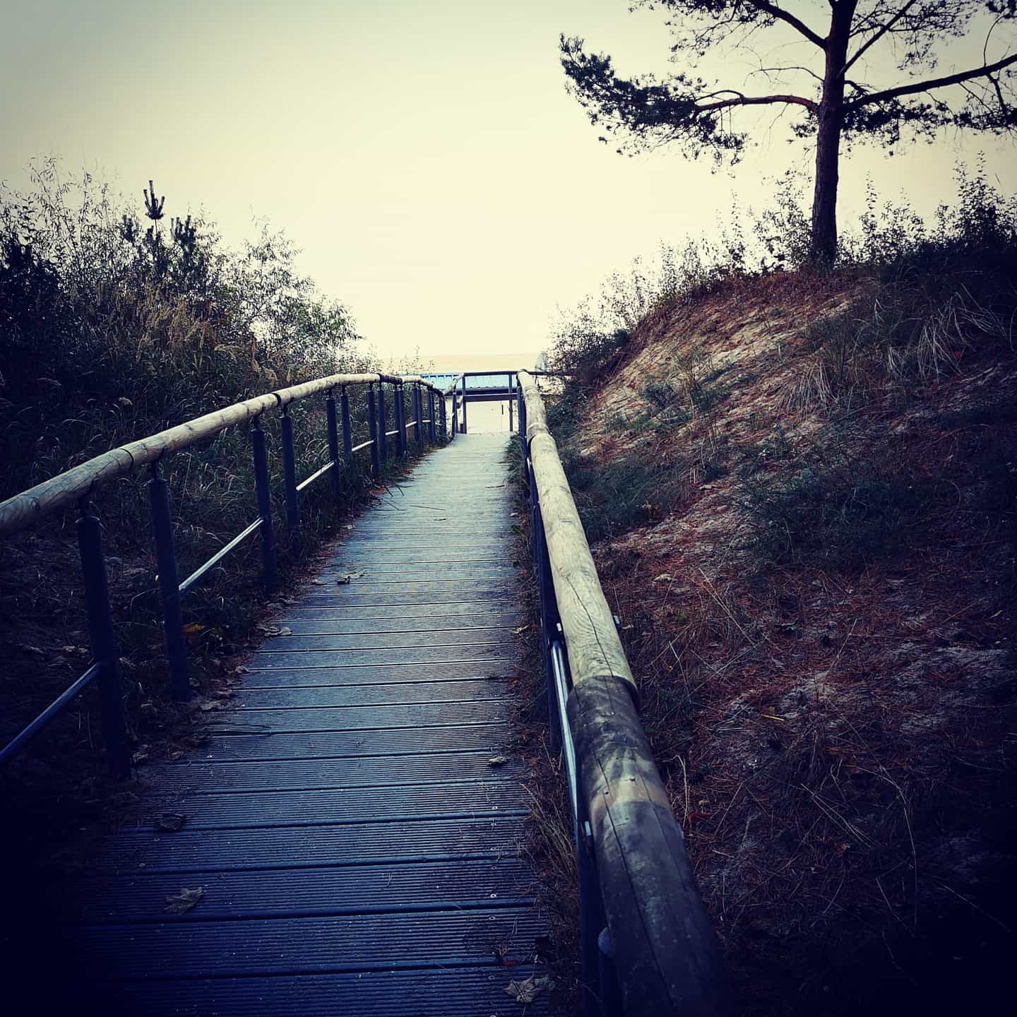 Holzsteg durch die Dünen