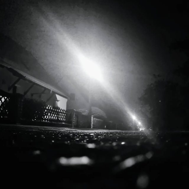 Nächtliche Straße im Gegenlicht einer Laterne, Schwarz-Weiß
