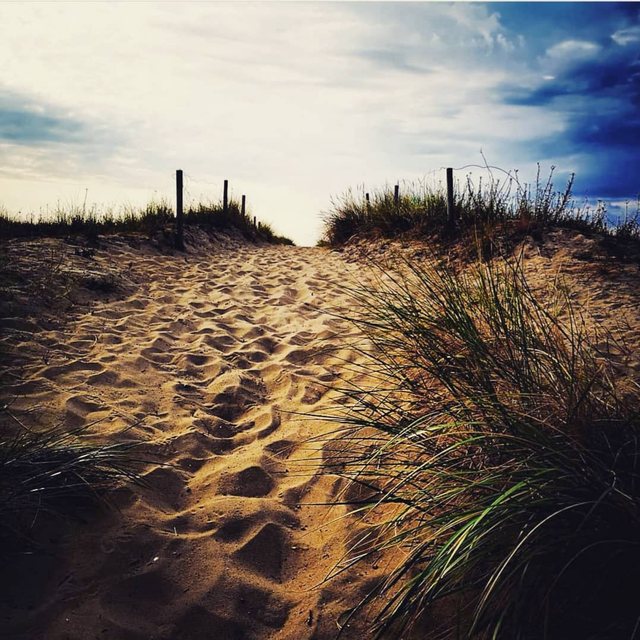 Sandweg durch die Dünen mit Strandhafer