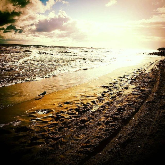 Strand im Gegenlicht mit Spuren im nassen Sand