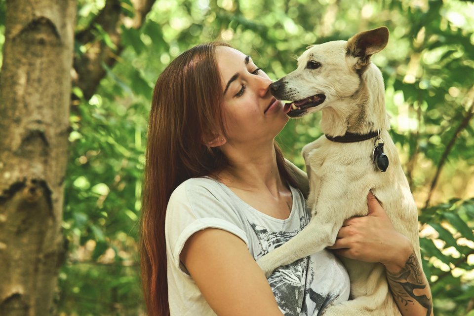 Ein heller Hund leckt Lou übers Gesicht