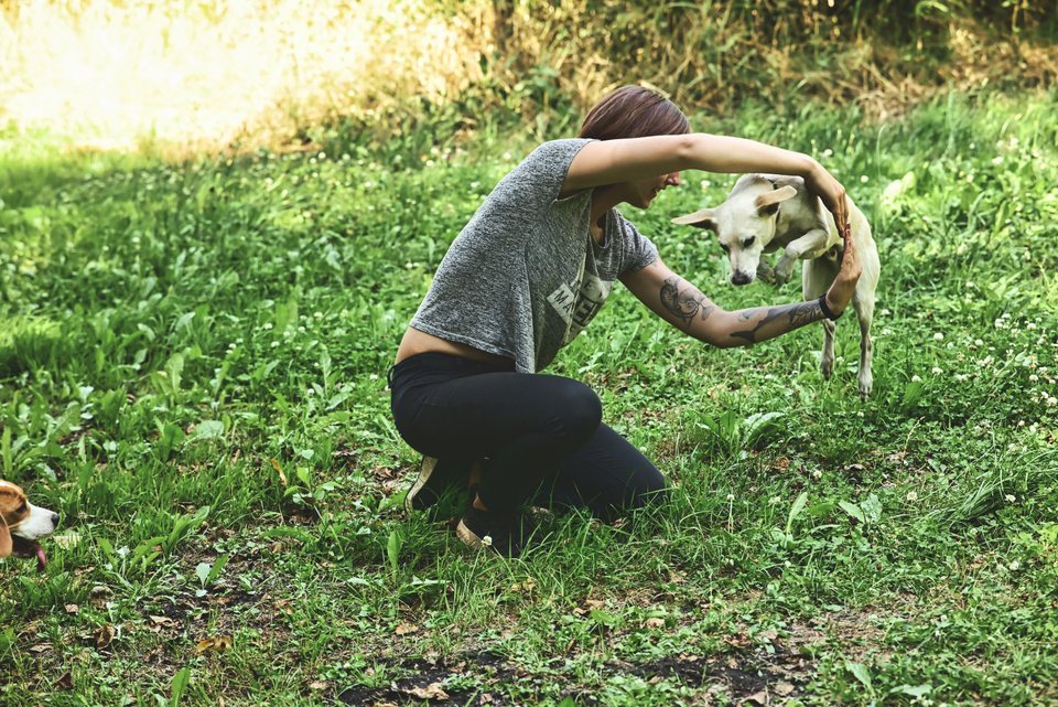 Lou übt auf der Wiese mit einem kleinen Hund, der durch ihre Arme springt
