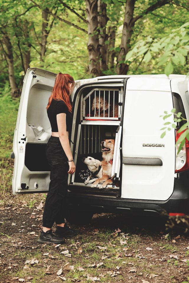Lou am offenen Transporter mit Hundeboxen, darin ein Hund