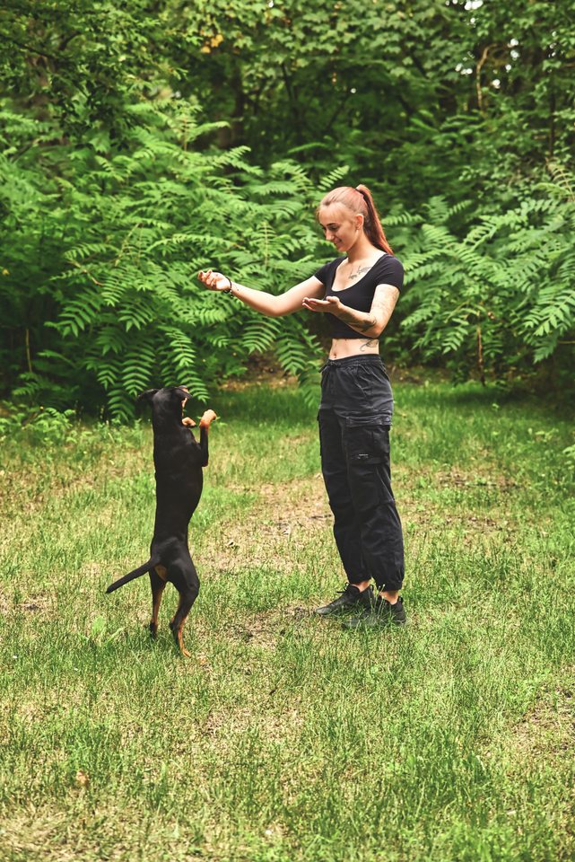 Ein schwarzer Hund springt Lou auf der Wiese entgegen
