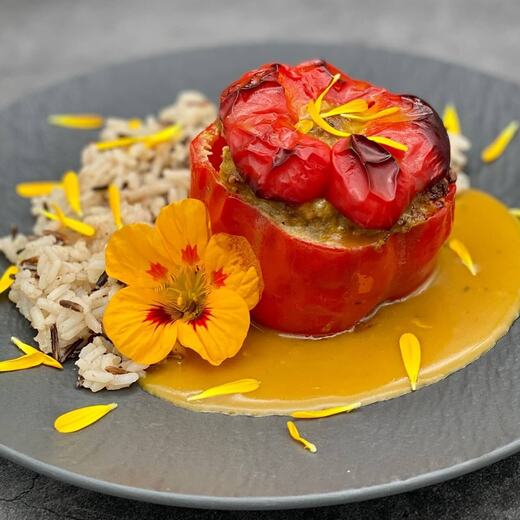 Gefüllte Paprika und Wildreis auf Kurkuma-Ingwer-Birnen-Soße