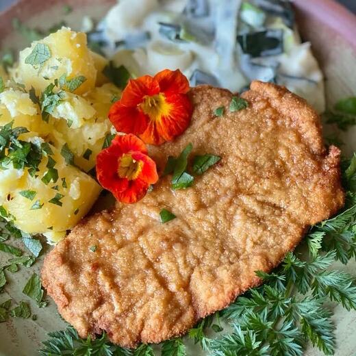Frisch verhauenes Schnitzel vom Schwein mit Garten-Porree in Sahnesauce und Kartoffeln