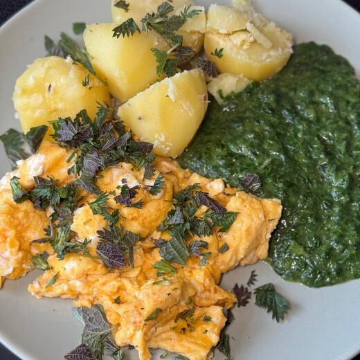 Rührei mit Spinat und Kartoffeln, dazu Meißner Quarkkuchen